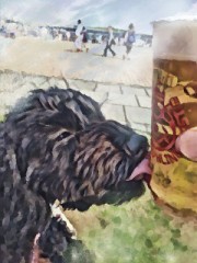 ペロンとしずく