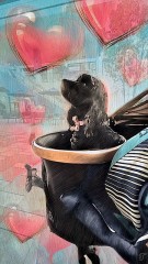 ワンコとショッピング