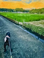 君の背中が、少し遠い