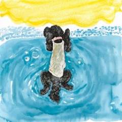 黒ワンコは、海辺の夢を見ている