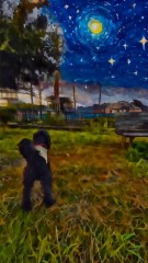 月に向かって吠えないワンコ