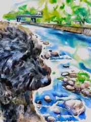 水面に映る黒ワンコ