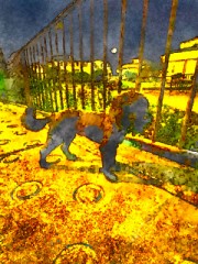 上弦の月と黒ワンコ