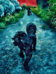 黒いプードルが現れた！