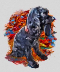 黒ワンコと赤落ち葉