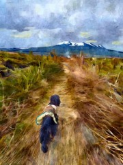 やっぱり　散歩は楽しい　黒ワンコ