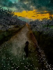 春・朝　黒ワンコ