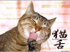 １０分　顔だしのお時間。