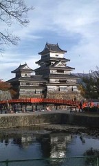 役所に行ってきました。