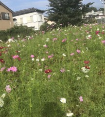 【お題日記】会話に必要なものってなに？