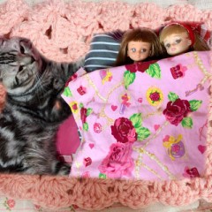 百合姉妹が今日お嫁に行きます