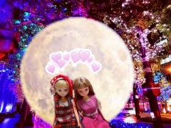 昨日は双子座流星群でしたね