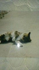 ご近所の人気者！！