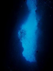 風邪良くなったよ☆