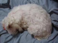 あけましておめでとうございます☆