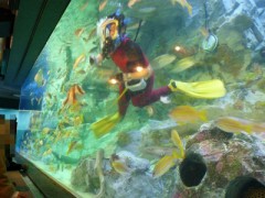 第九特別演奏会