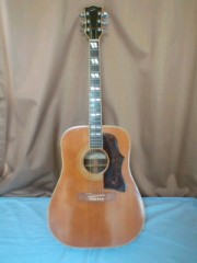 ギター買っちゃった♪