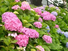 【お題日記】年の差セックスの許容範囲は？