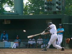 【お題日記】プロ野球の試合観に行ったことありますか？