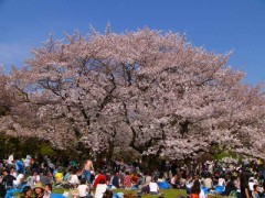 【お題日記】最後の晩餐で食べたいものは？