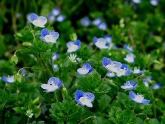 【お題日記】わたしの中のもう一人のわたし！