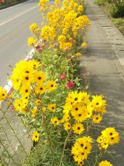 【お題日記】人は、なんで答えを出したがるの？