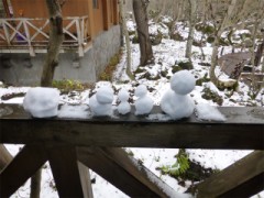 【お題日記】今日はカメラの日！自慢の写真をUPして♪