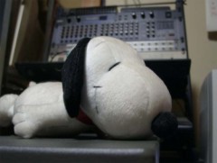 犬のほっぺ！！
