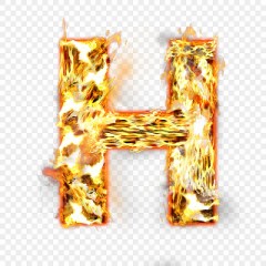 【お題日記】今年最後のHの予定は？