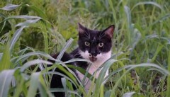 【お題日記】これだけは絶対見られたくない