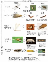 【お題日記】こんな変態な人と付き合った事あります
