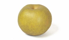 【お題日記】こんな珍しい果物食べた事あります