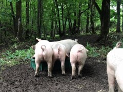 【お題日記】すっぴんでHはOK？