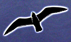 【お題日記】どちらが先にシャワー浴びる？