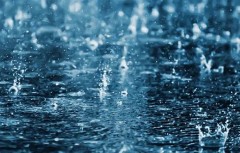 【お題日記】傘持っていかれちゃったことある？