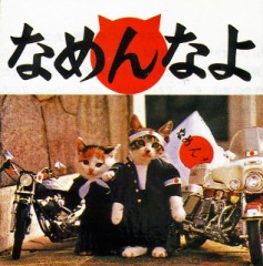 【お題日記】どこ舐めるのが好き？