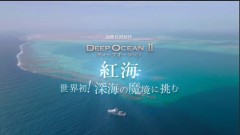 【お題日記】Hして後悔したことは？