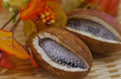 【お題日記】ローション舐めてみたことある？