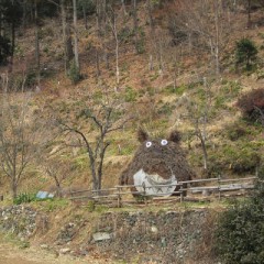 【お題日記】こんな映え写真撮りました