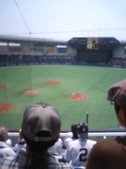 野球観戦
