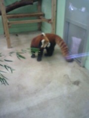 千葉市動物公園