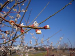 【お題日記】心地いいってどんなカンジ？
