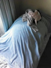 【お題日記】うどんとそば、どっちが好きですか？