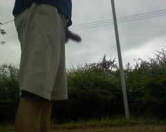 【お題日記】どんな財布使っていますか？