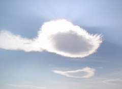 【お題日記】いつあきらめたらいいのですか？