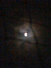 【お題日記】苦労は買ってでもすべき？