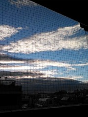 【お題日記】鉄道（電車）に関する思い出