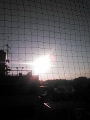 【お題日記】私、意外にもこんな長所あります！