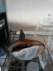 【お題日記】リサイクルしてますか？