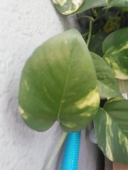 【お題日記】転機っていつくるの？